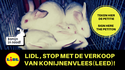 Afbeelding invoegen